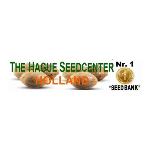 The Hague Seed Center Holland
